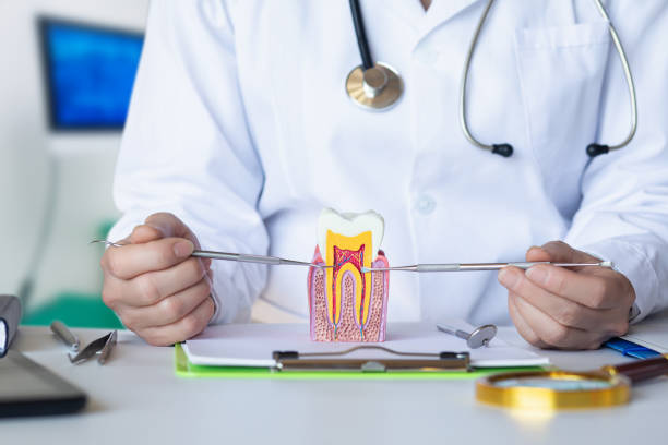 Best Emergency Denture Repair in Phoenix, IL